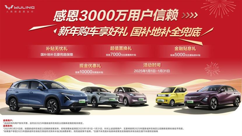 新年购五菱享四重好礼，有国补地补更优惠
