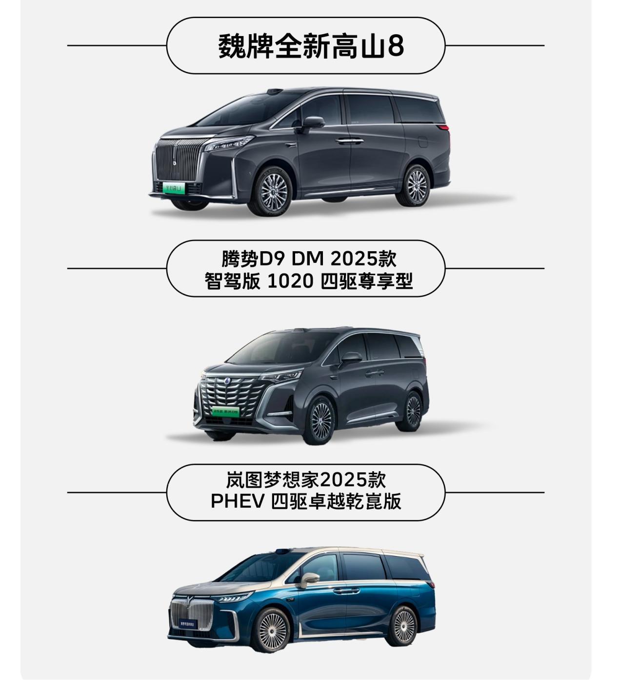 魏牌全新高山迎来上市，国产MPV市场再掀热潮