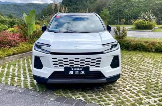 哥们儿愁坏了，威兰达皓影家用咋选？老司机一句话点透